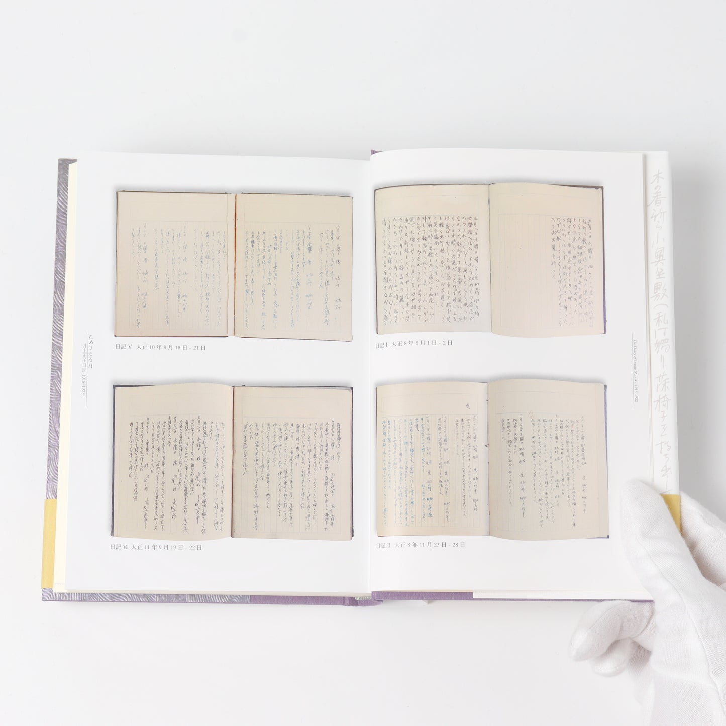 The Trial Days: The Diary of Masako Inoue 1918-1922