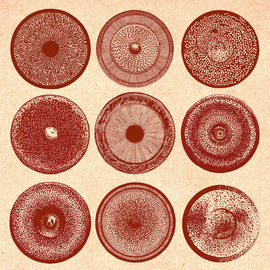 Spilla / Ensemble Nist-Nah