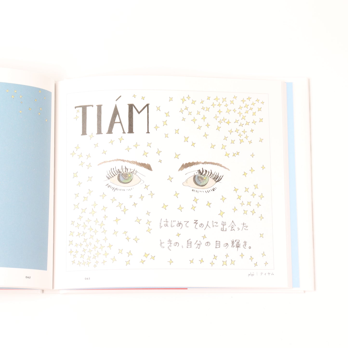 Untranslatable world languages