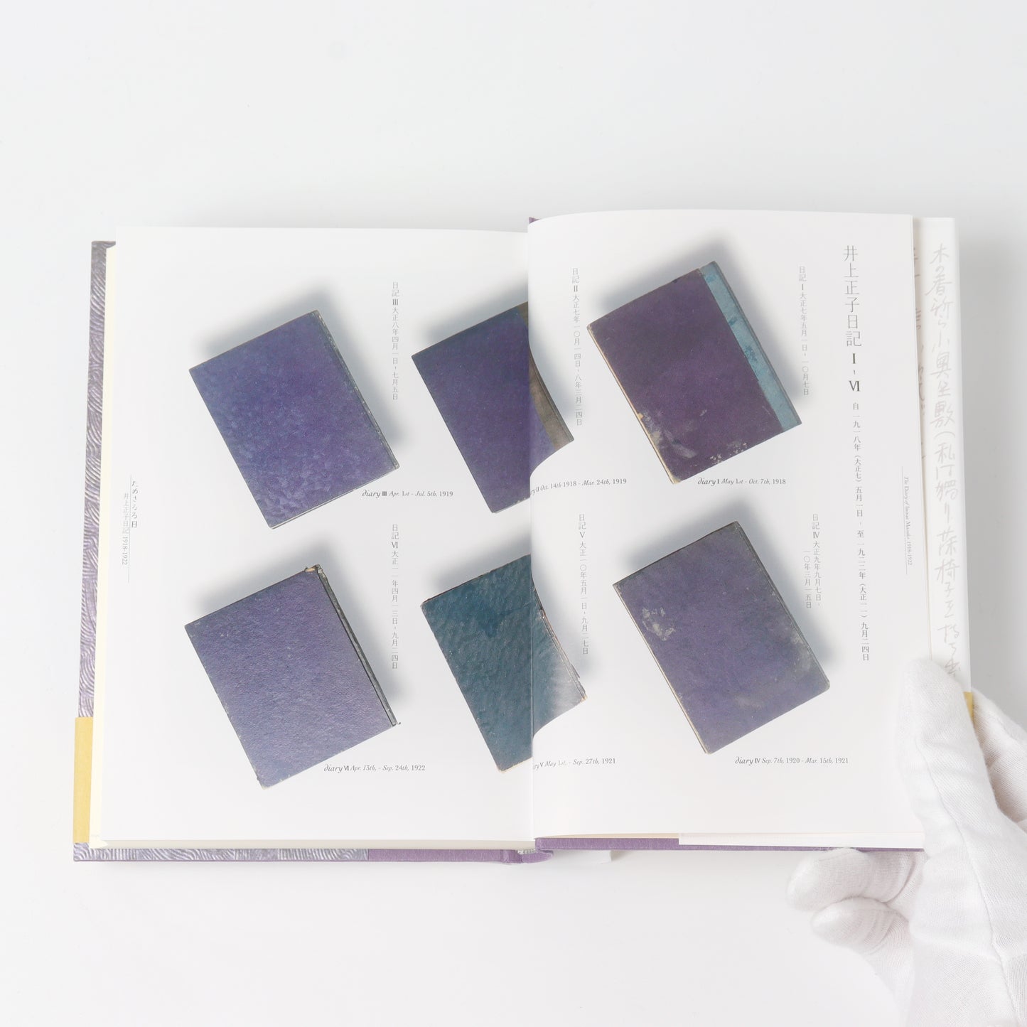 The Trial Days: The Diary of Masako Inoue 1918-1922