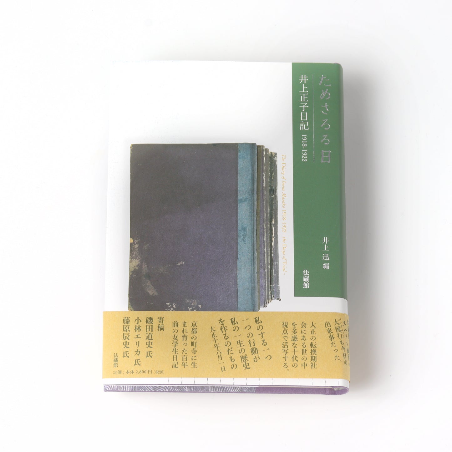 The Trial Days: The Diary of Masako Inoue 1918-1922