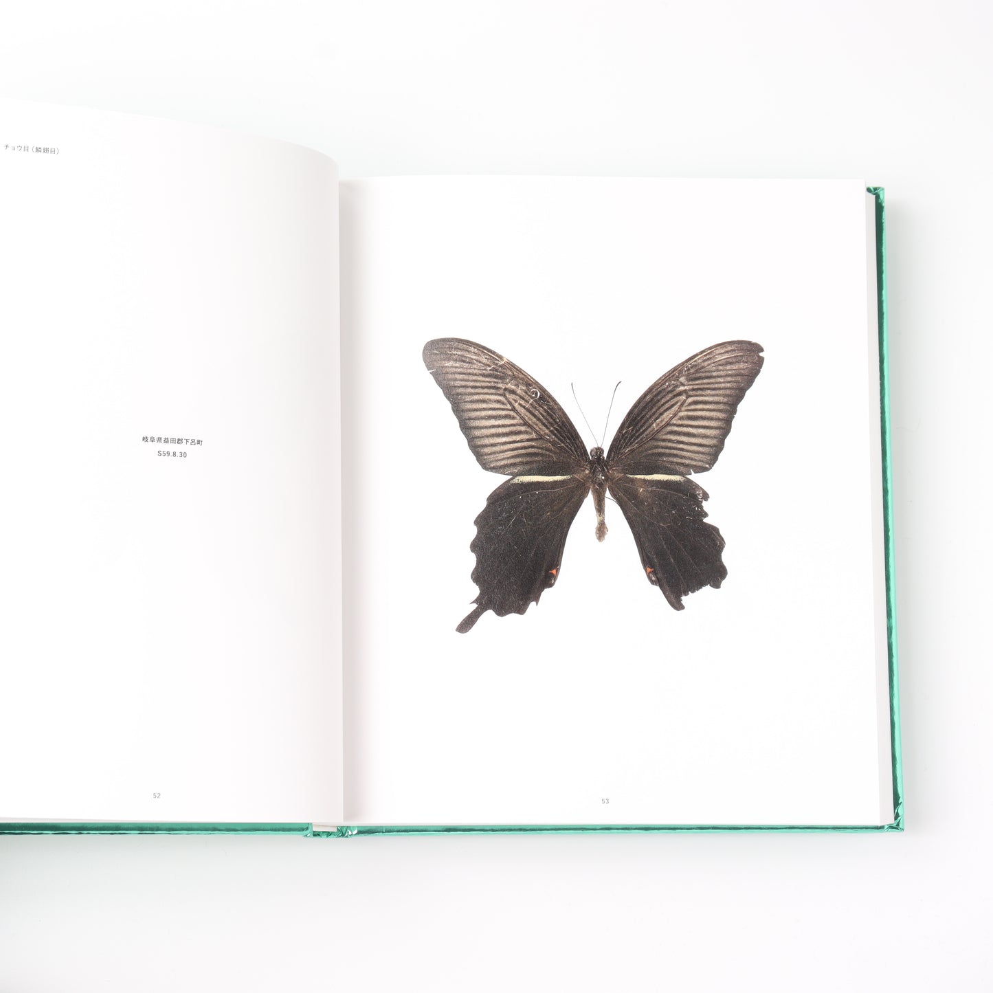 NO-RECORD-FOUND CERTIFICATE – 759 Insects –