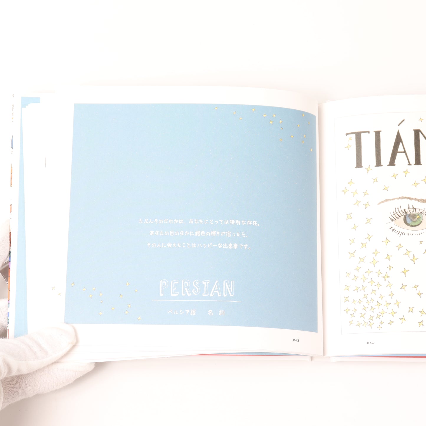 Untranslatable world languages