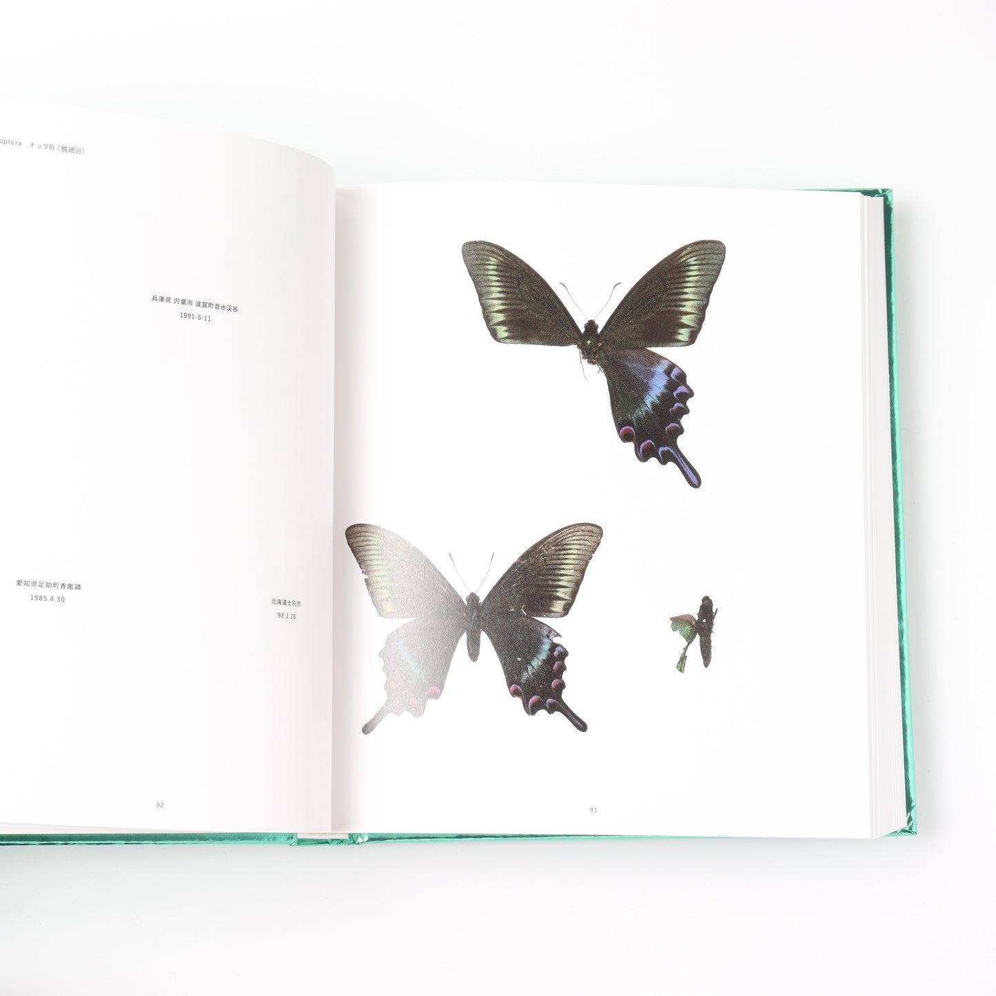 NO-RECORD-FOUND CERTIFICATE – 759 Insects –