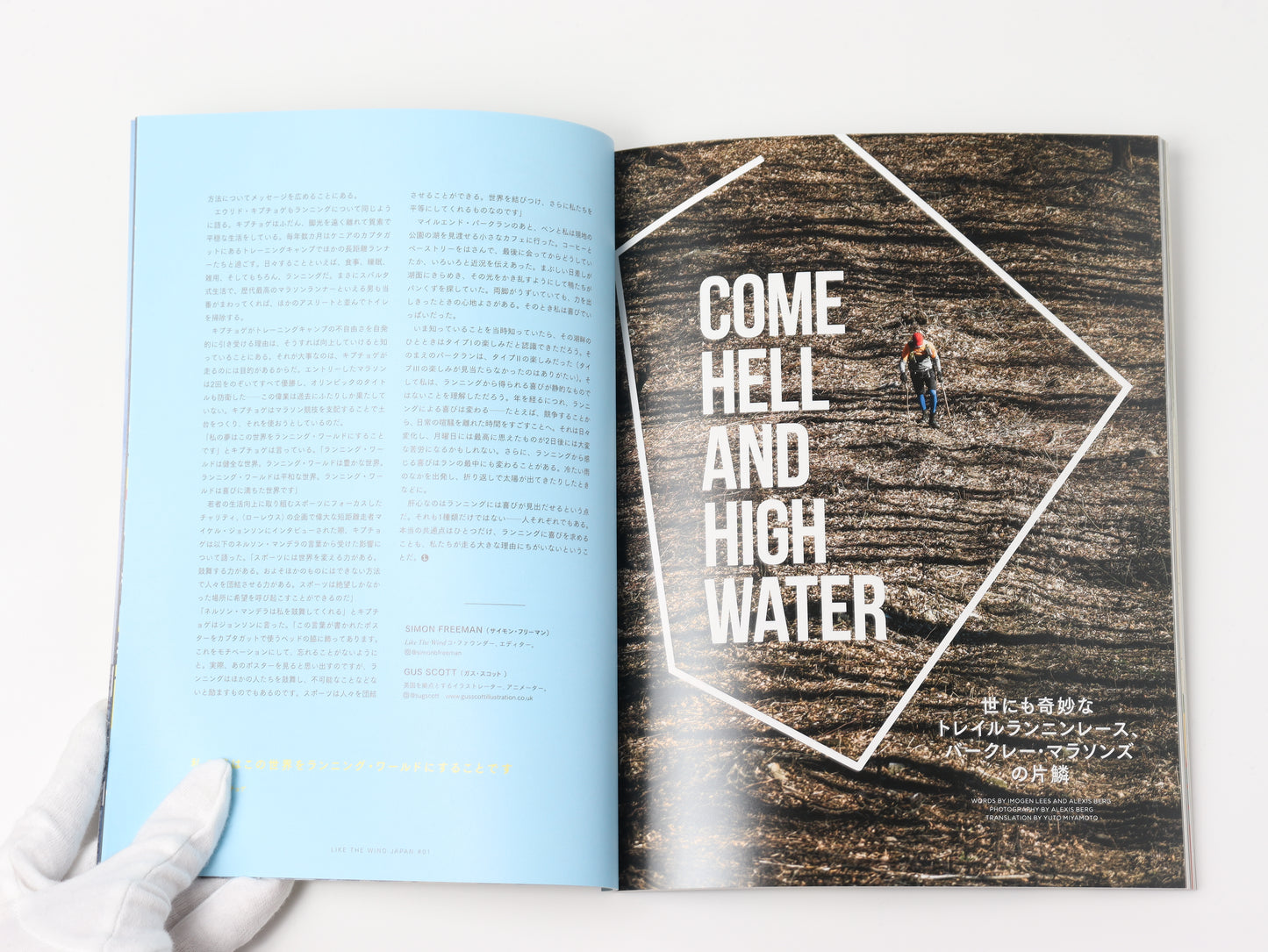 LIKE THE WIND JP #01