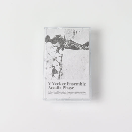 Acedia Phase / V Vecker Ensemble