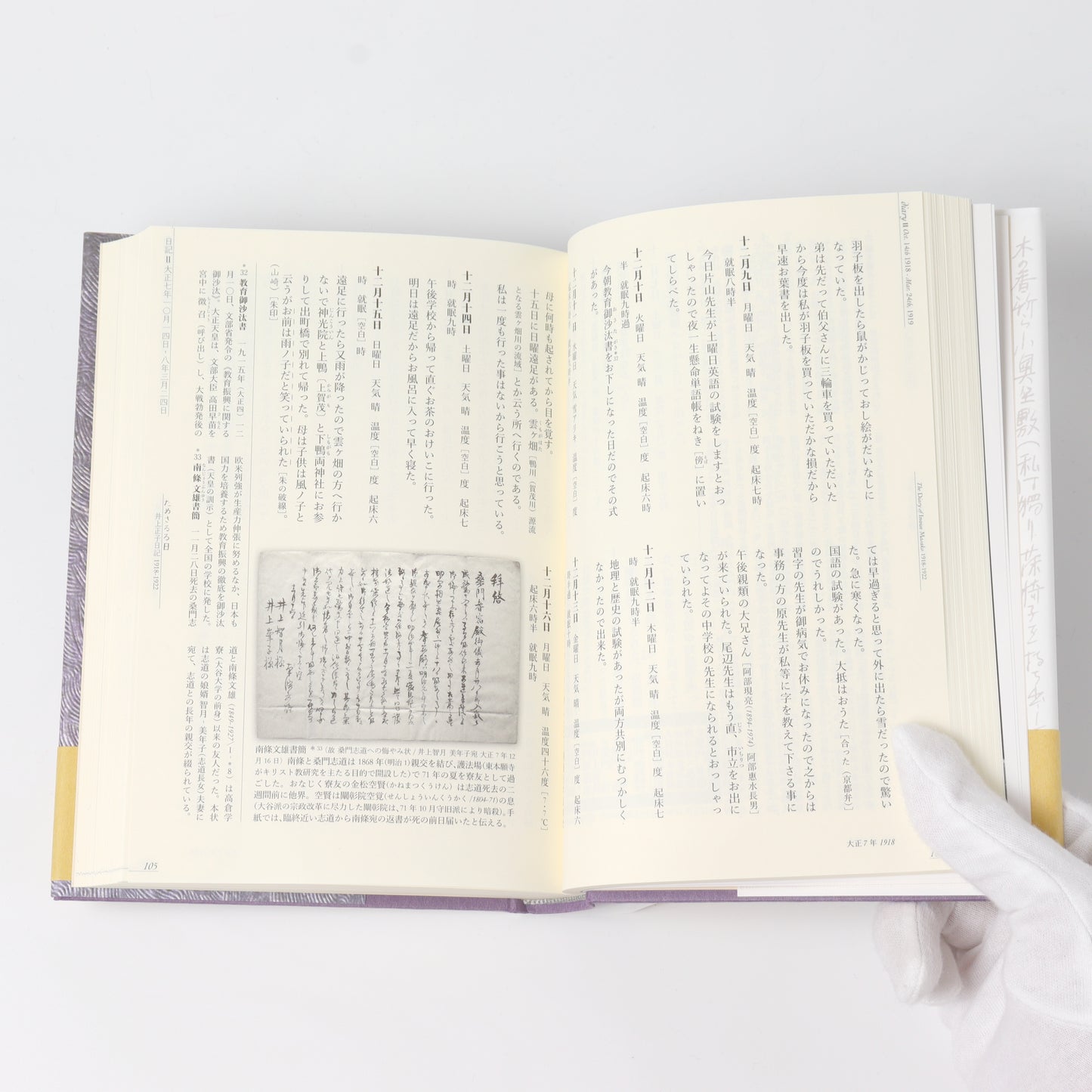 The Trial Days: The Diary of Masako Inoue 1918-1922