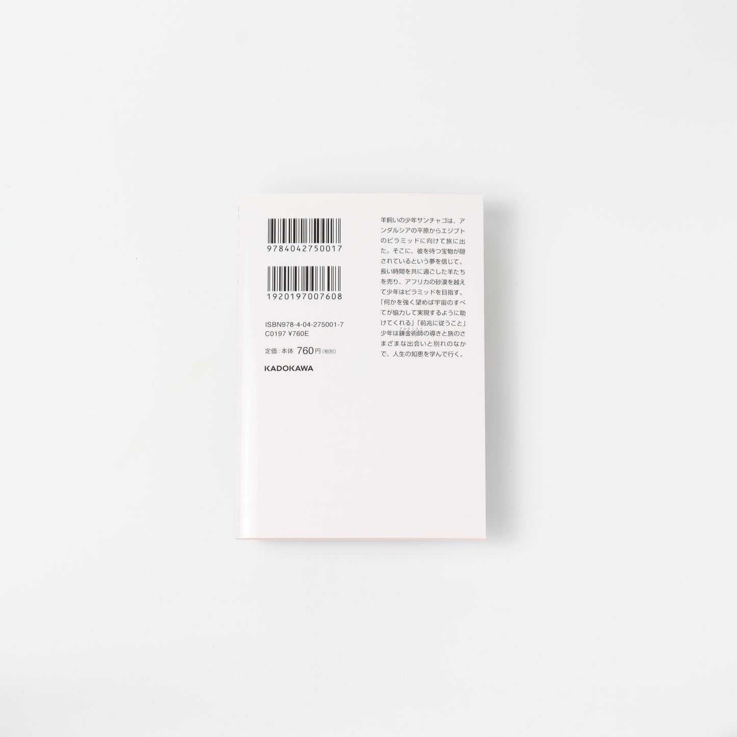 The Alchemist: The Boy Who Traveled Through His Dreams