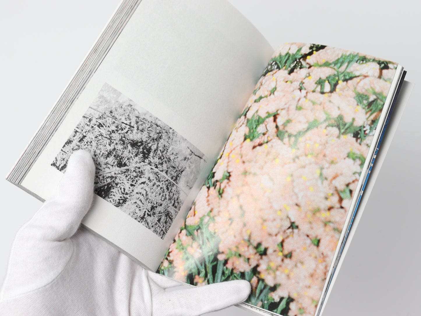 PREPARATION F19 by 1017-ALYX-9SM & Esther Theaker