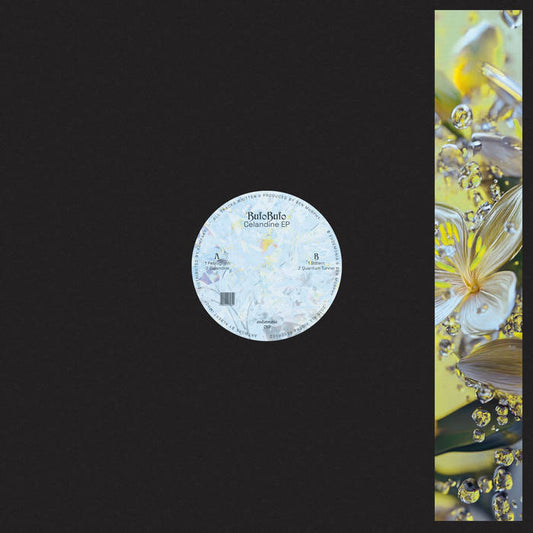 Celandine / Bufobufo