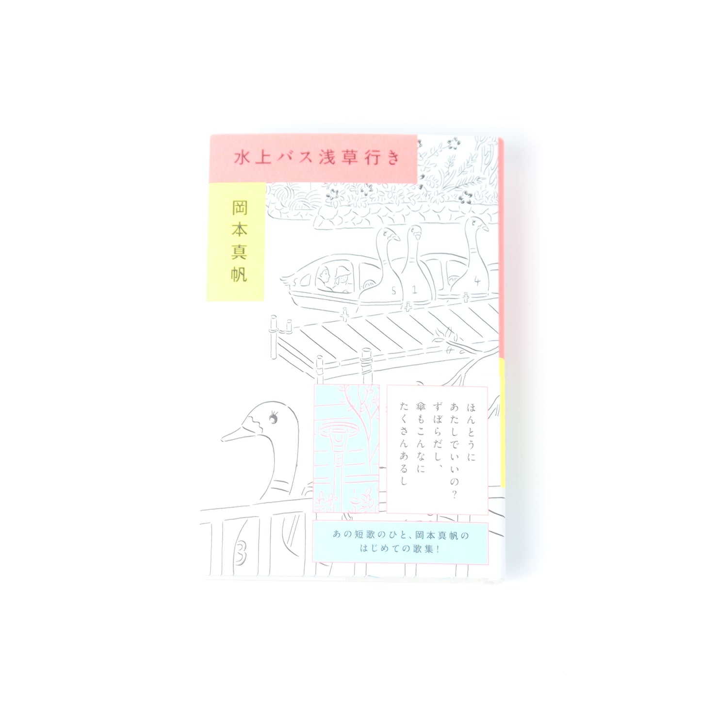 Water bus to Asakusa