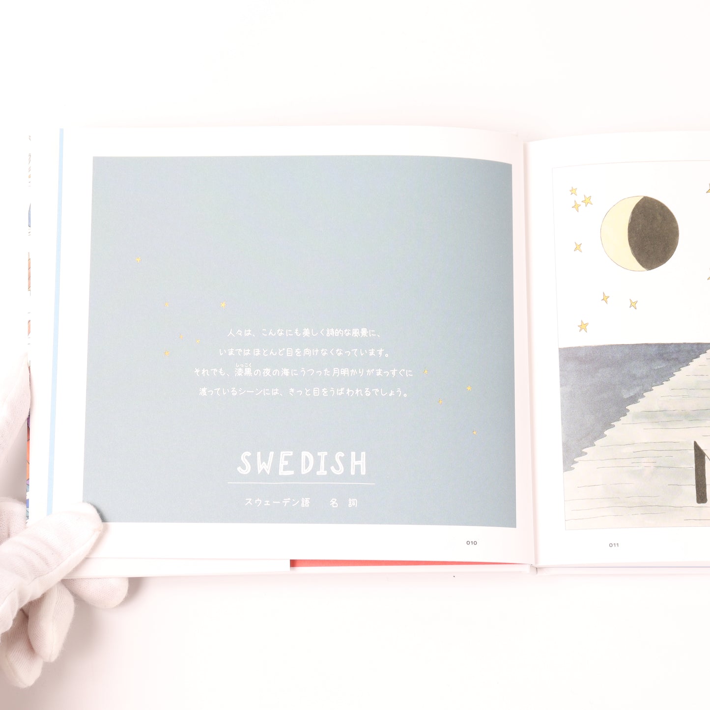 Untranslatable world languages