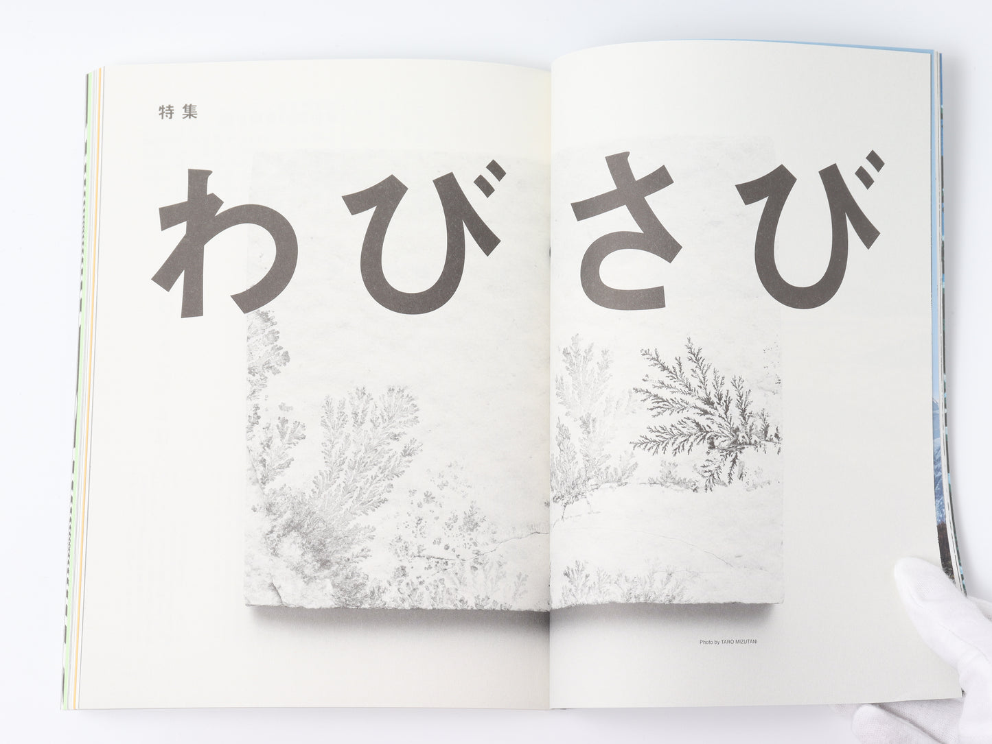 SPECTATOR vol.43 "Wabi-sabi"