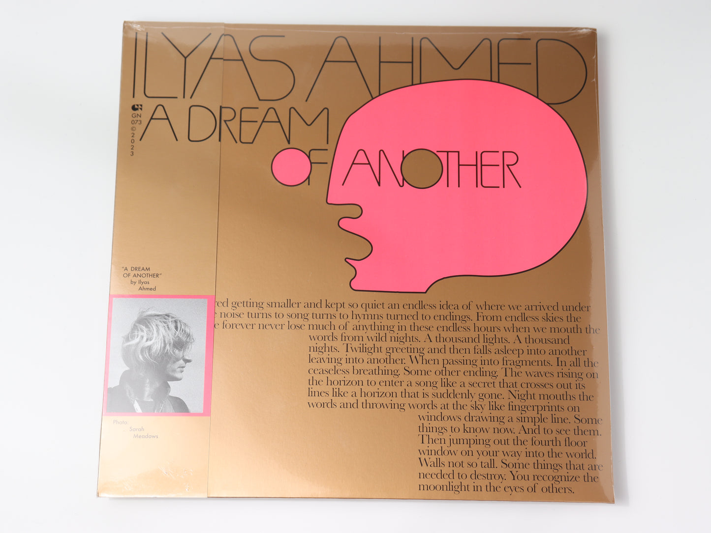 A DREAM OF ANOTHER/ Ilyas Ahmed