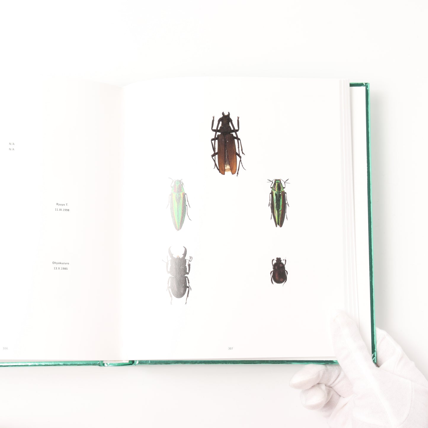 NO-RECORD-FOUND CERTIFICATE – 759 Insects –