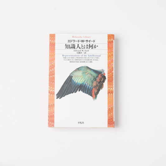 What is an intellectual?