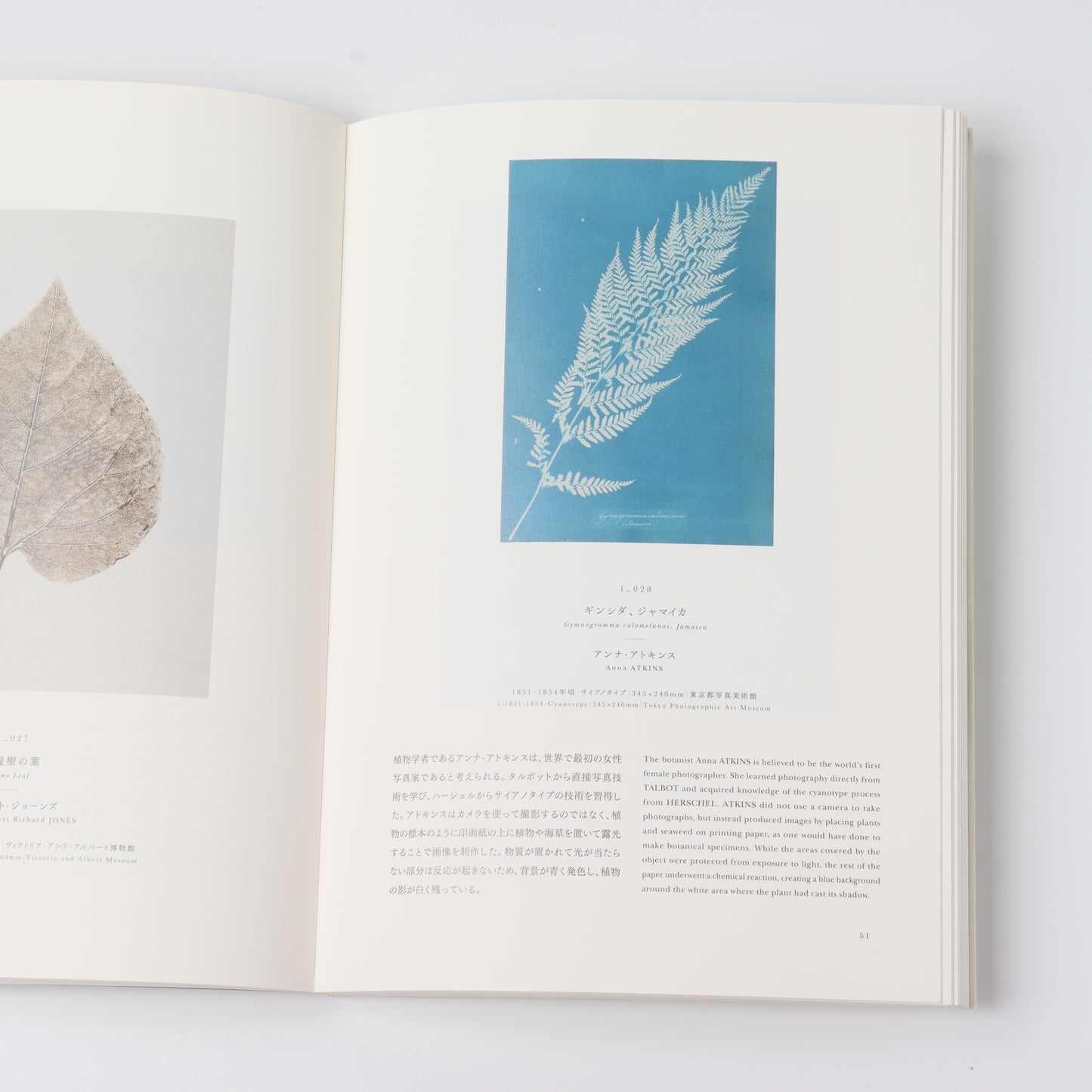 【USED】写真の起源 英国