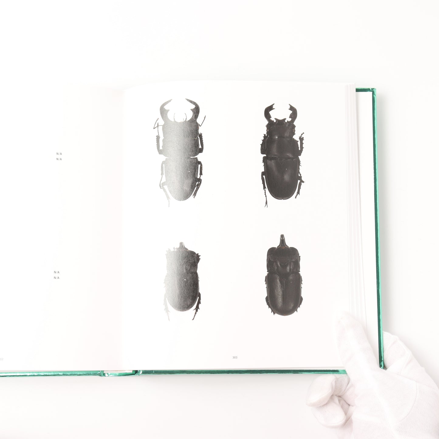 NO-RECORD-FOUND CERTIFICATE – 759 Insects –