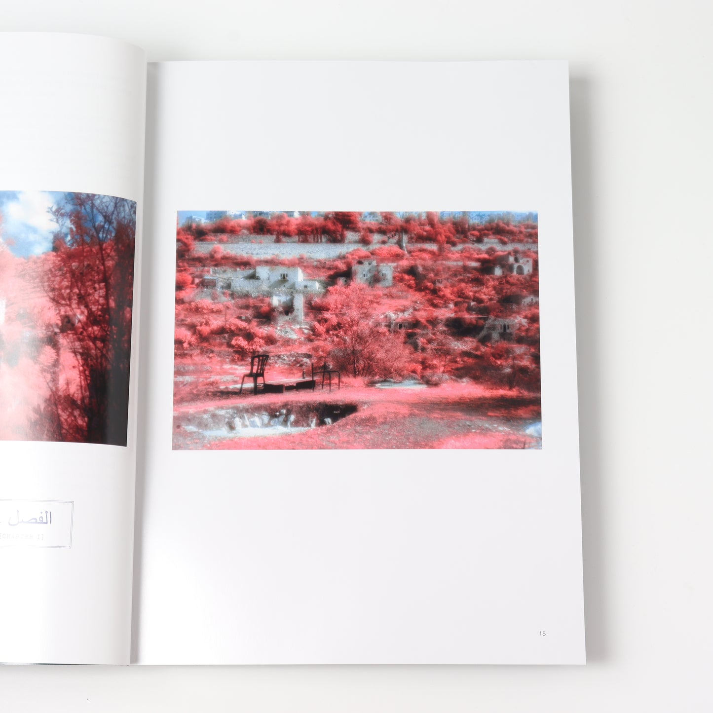 True Photo Journal, Issue Nine