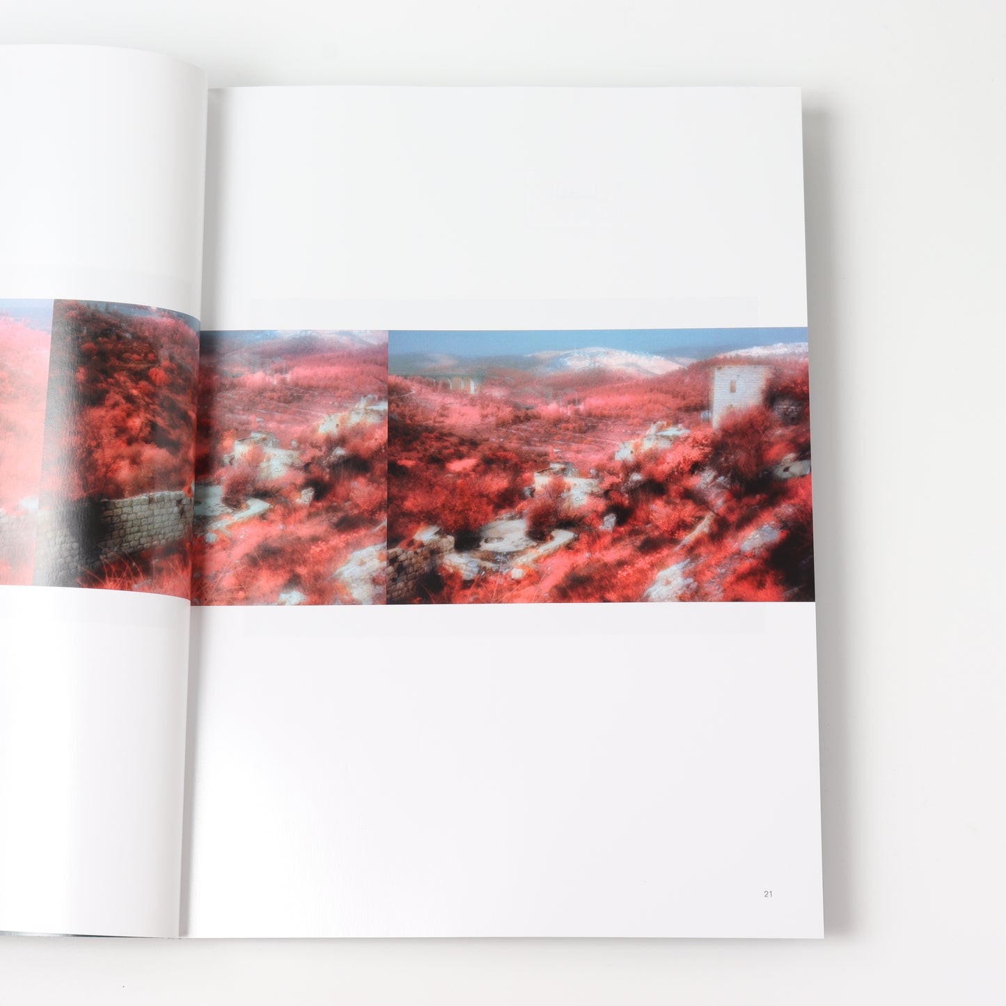 True Photo Journal, Issue Nine