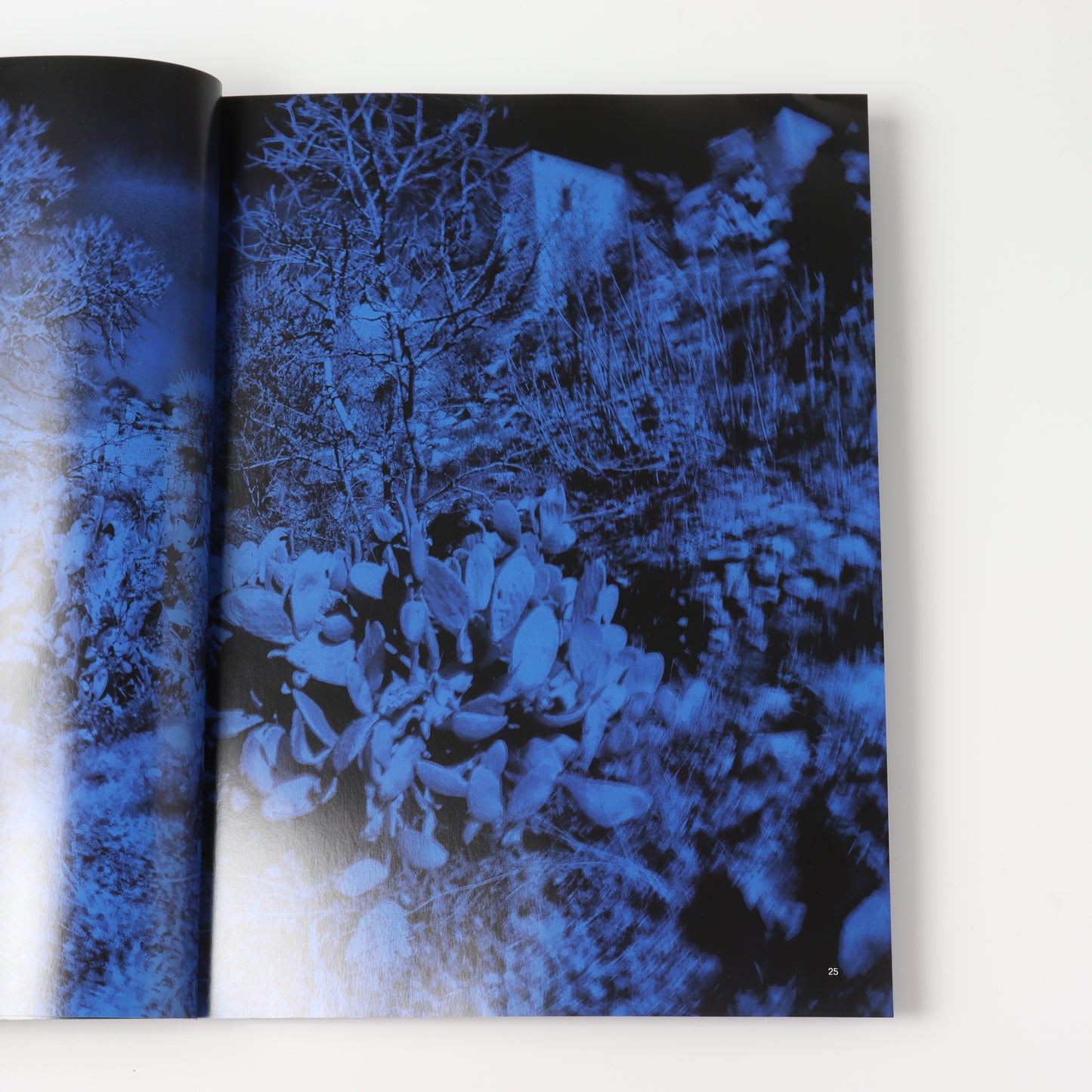 True Photo Journal, Issue Nine