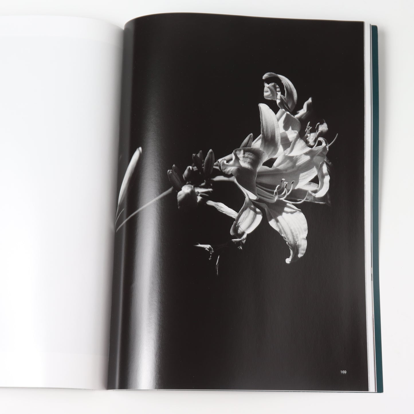 True Photo Journal, Issue Nine