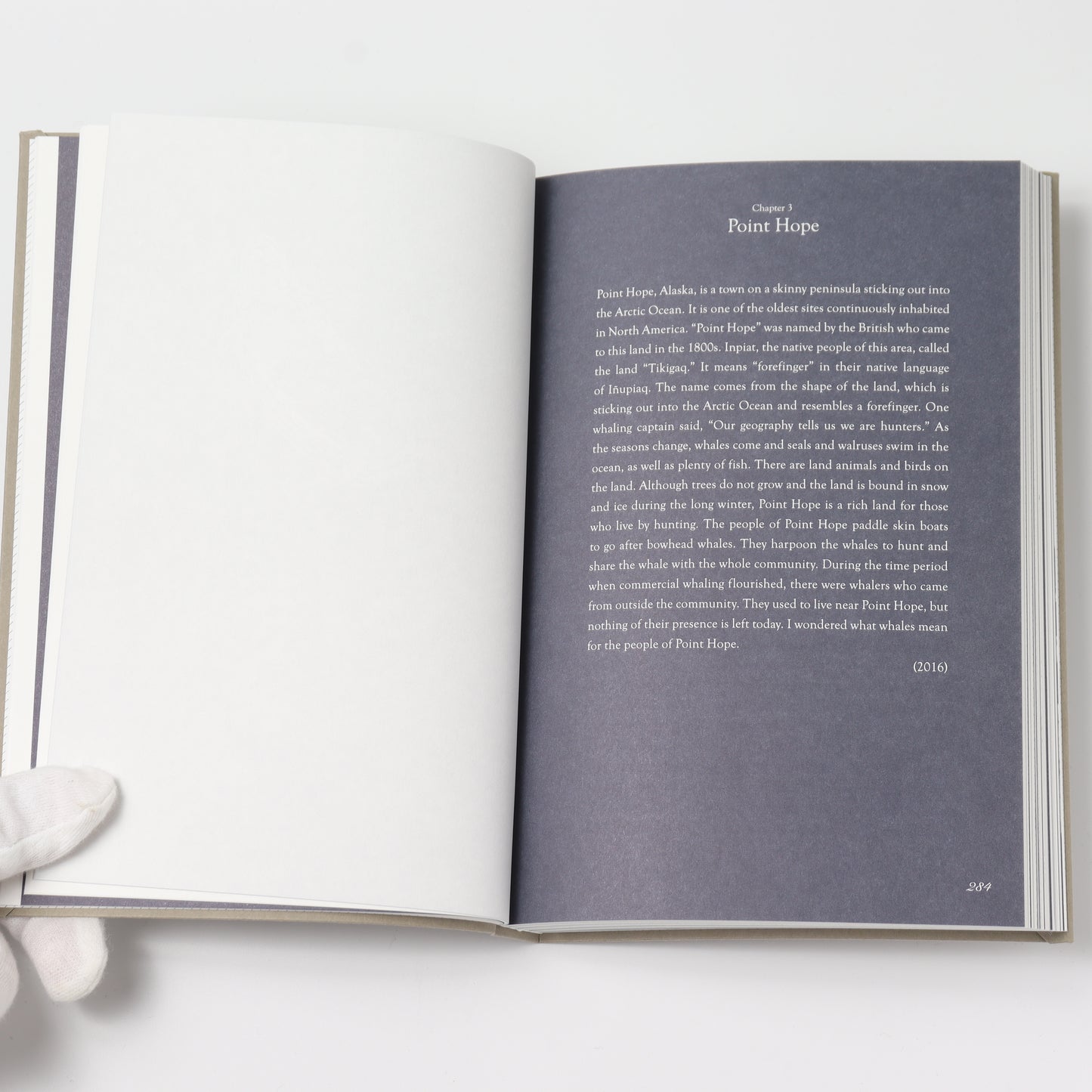 ありふれたくじら