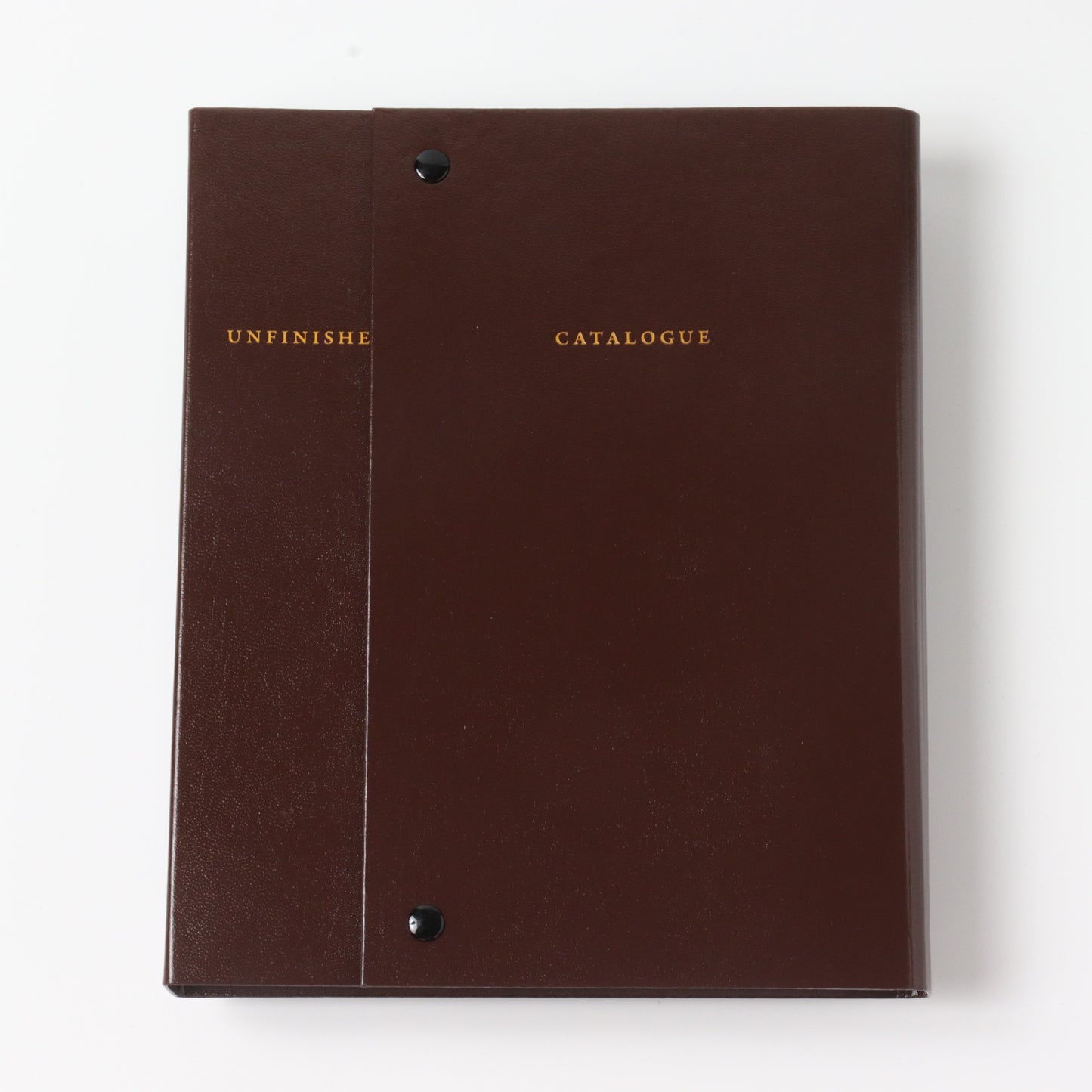 CATALOGUE RAISONNÉ OF THE UNFINISH / Sophie Calle
