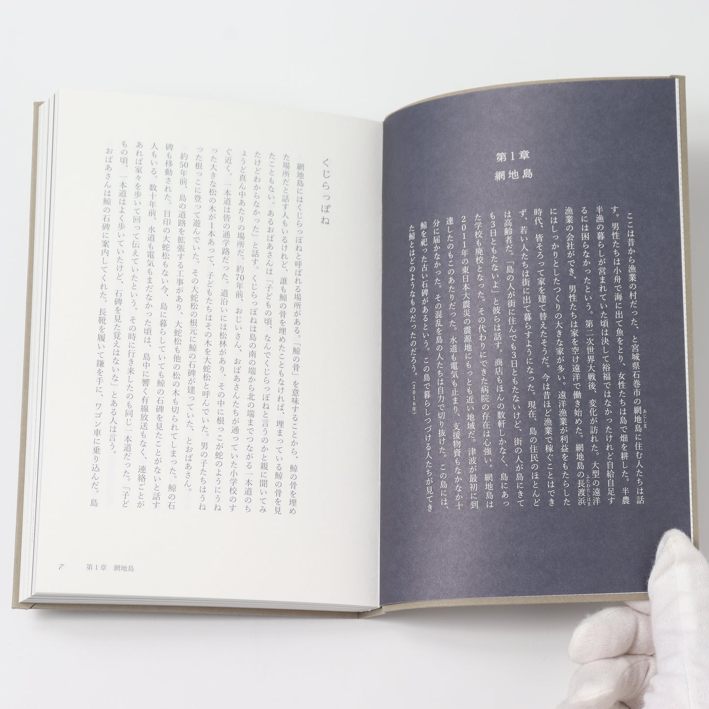 ありふれたくじら