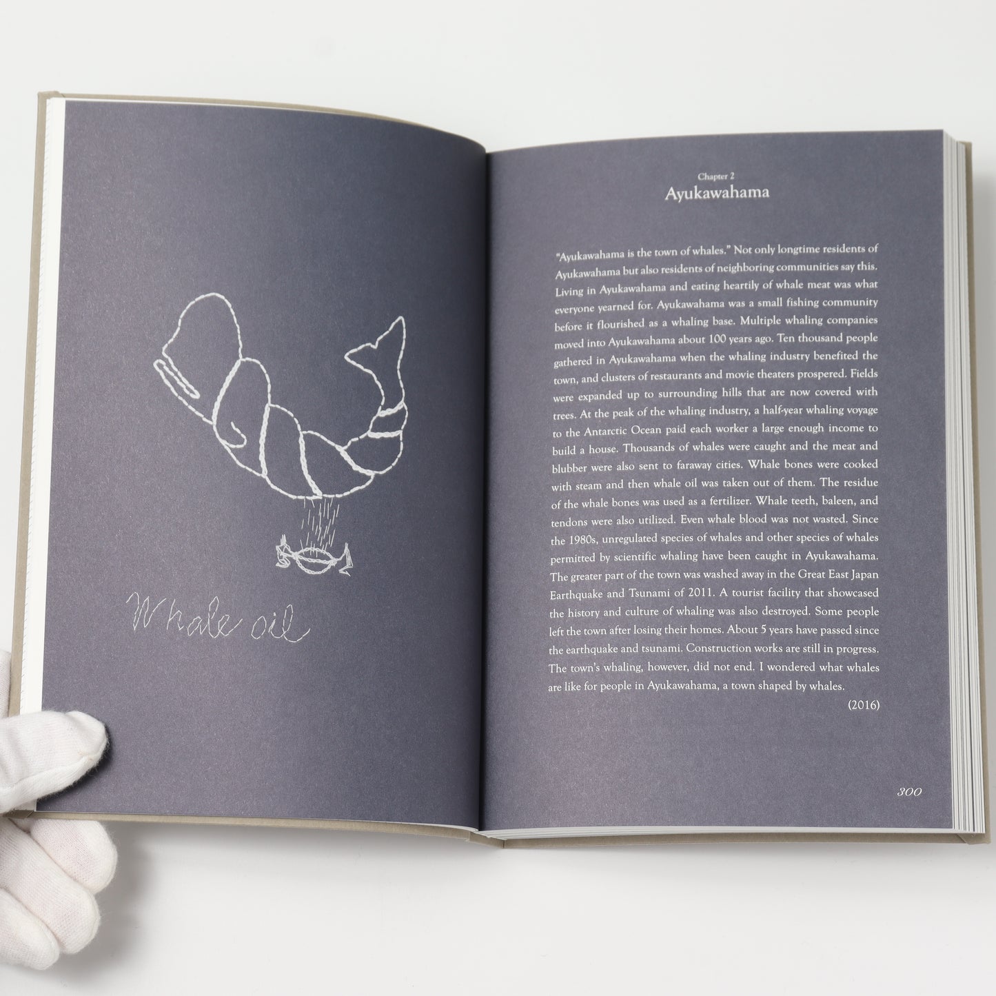 ありふれたくじら