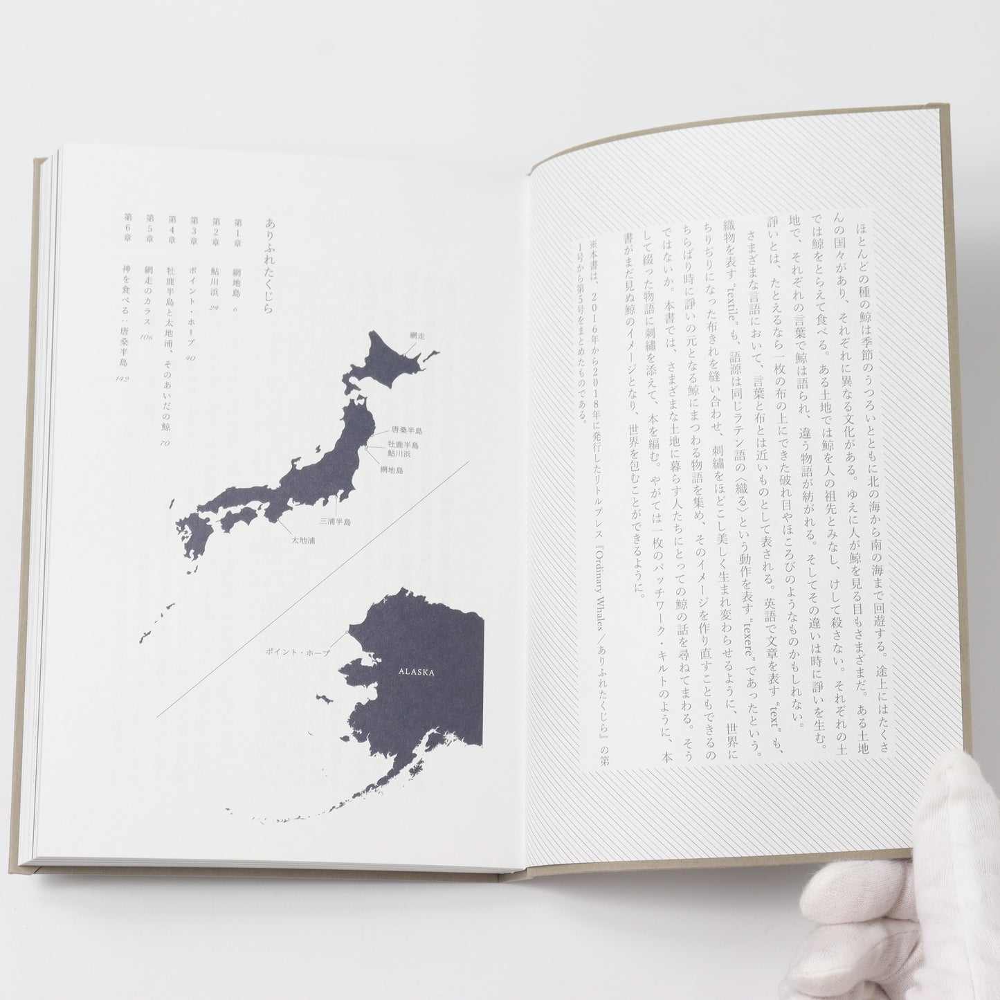 ありふれたくじら