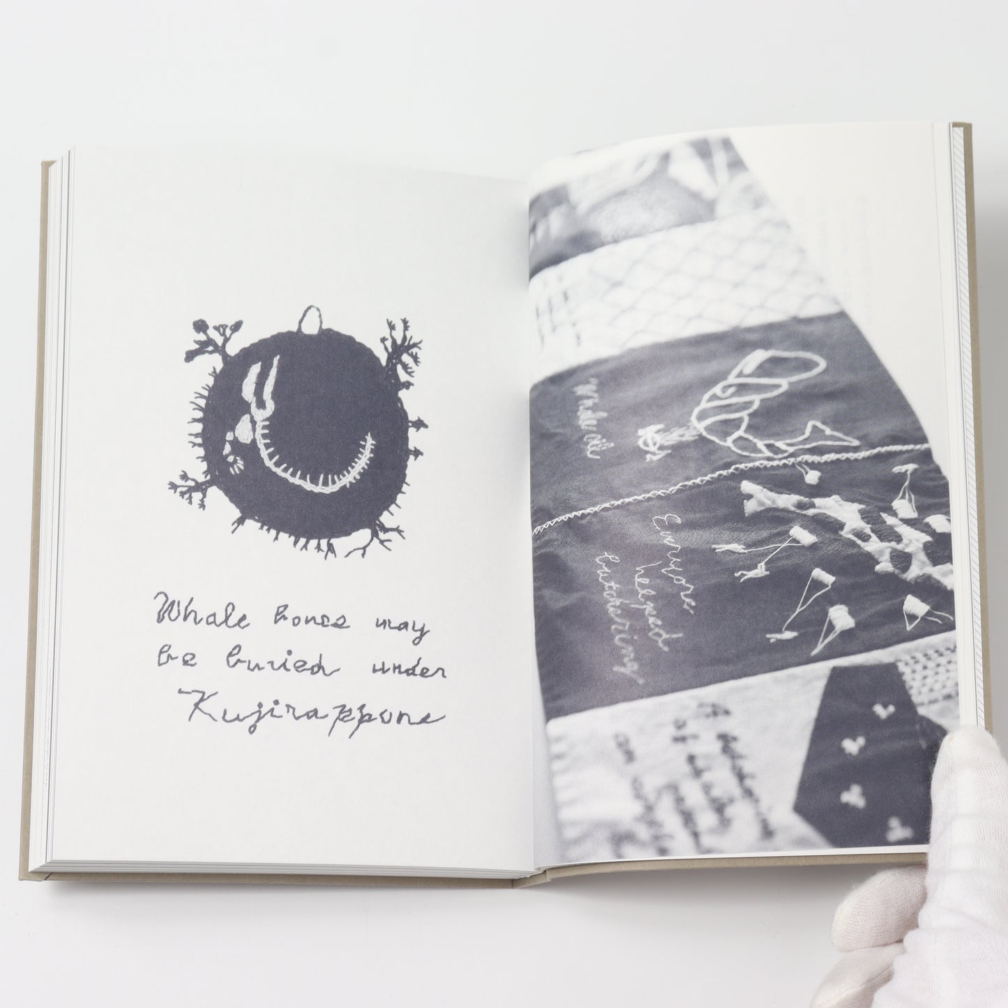 ありふれたくじら