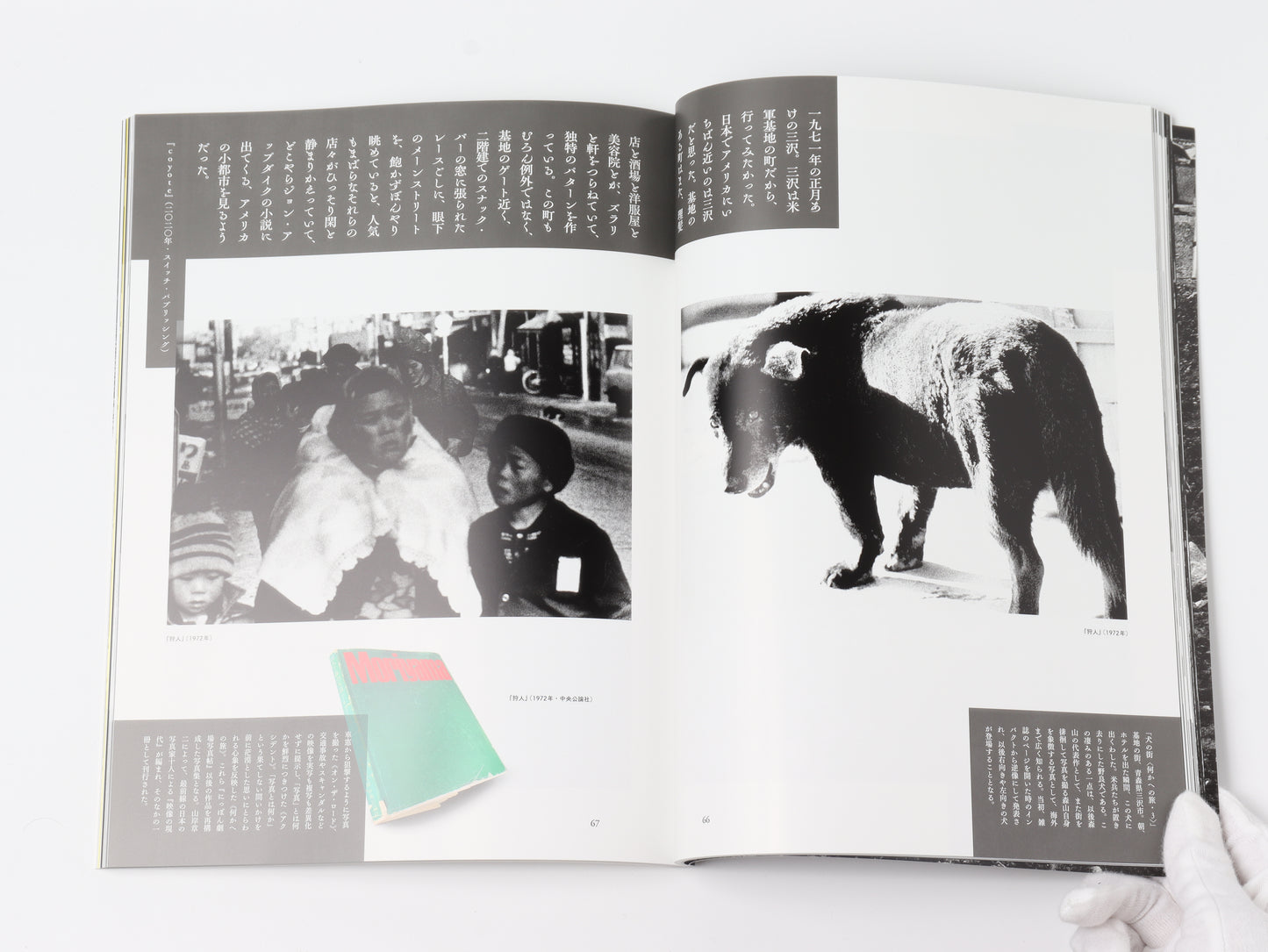 Special edition of Taiyo Daido Moriyama