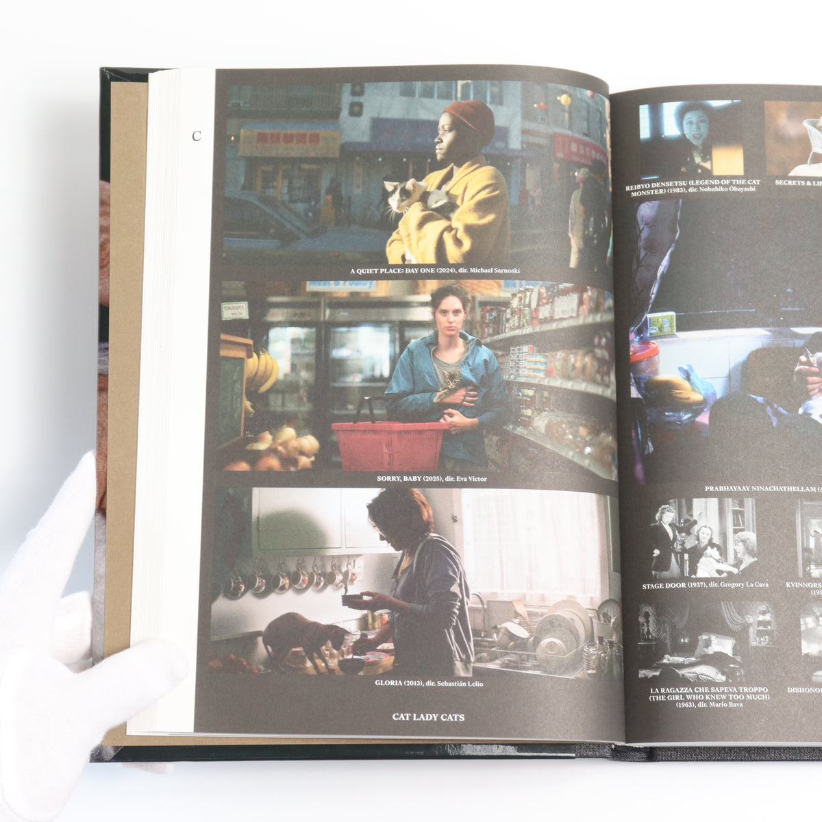 THE ENCYCLOPEDIA OF MOVIE CATS: AN A-Z OF FELINES ON SCREEN