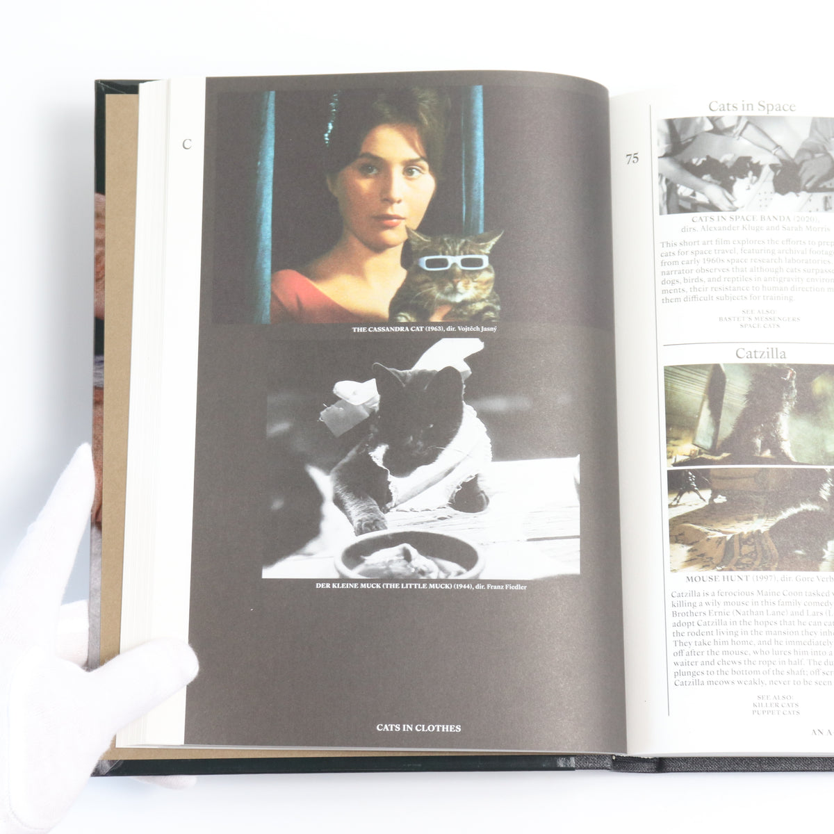 THE ENCYCLOPEDIA OF MOVIE CATS: AN A-Z OF FELINES ON SCREEN