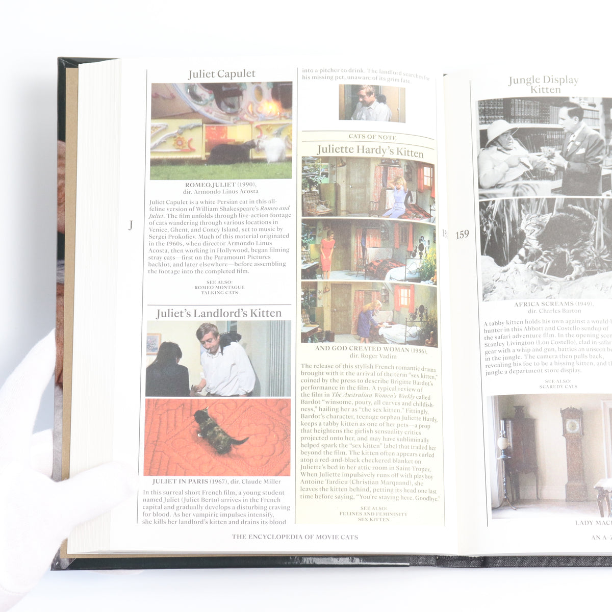 THE ENCYCLOPEDIA OF MOVIE CATS: AN A-Z OF FELINES ON SCREEN