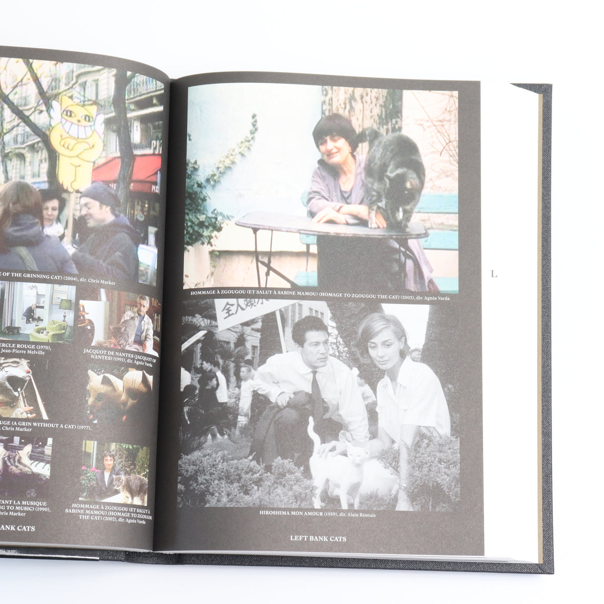 THE ENCYCLOPEDIA OF MOVIE CATS: AN A-Z OF FELINES ON SCREEN