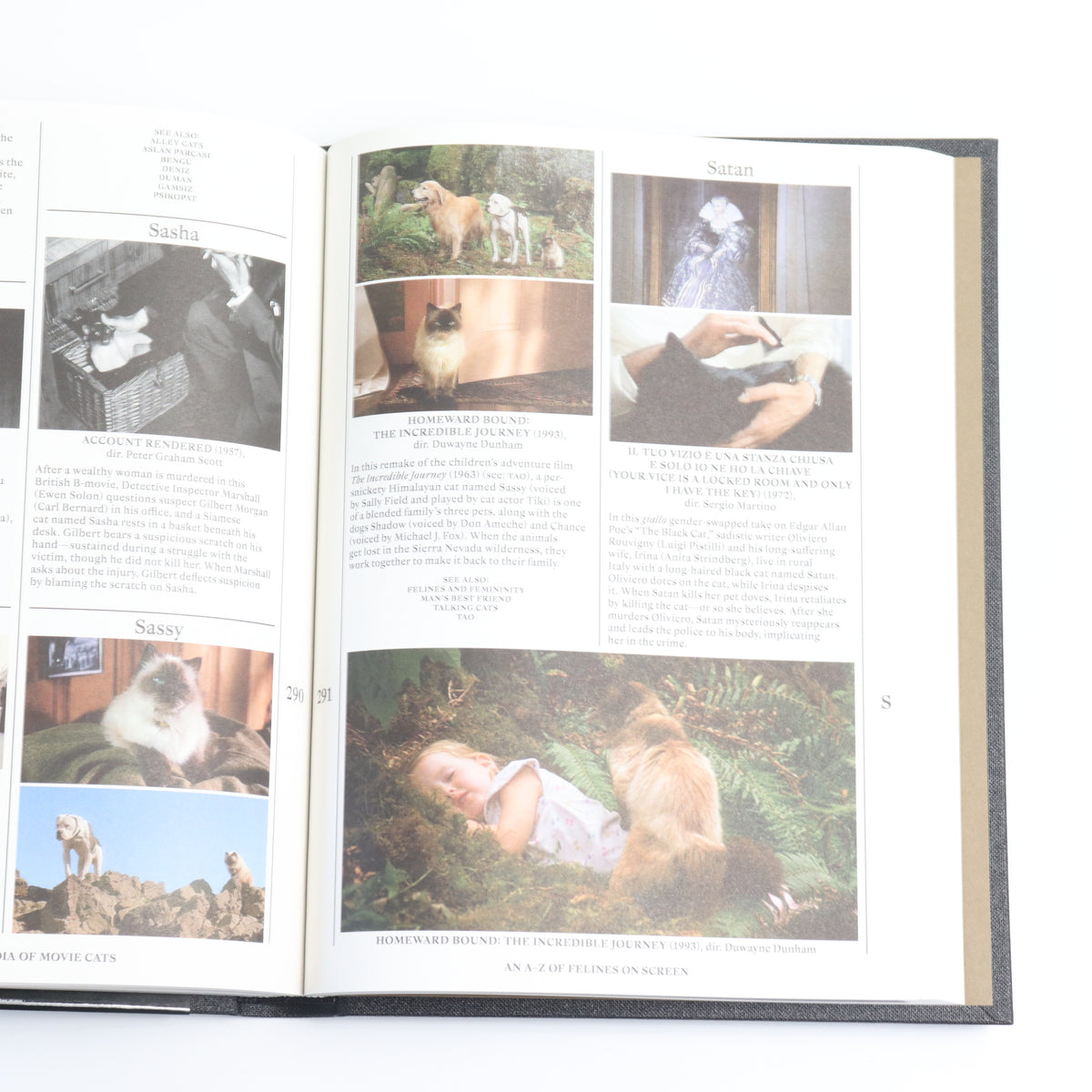 THE ENCYCLOPEDIA OF MOVIE CATS: AN A-Z OF FELINES ON SCREEN
