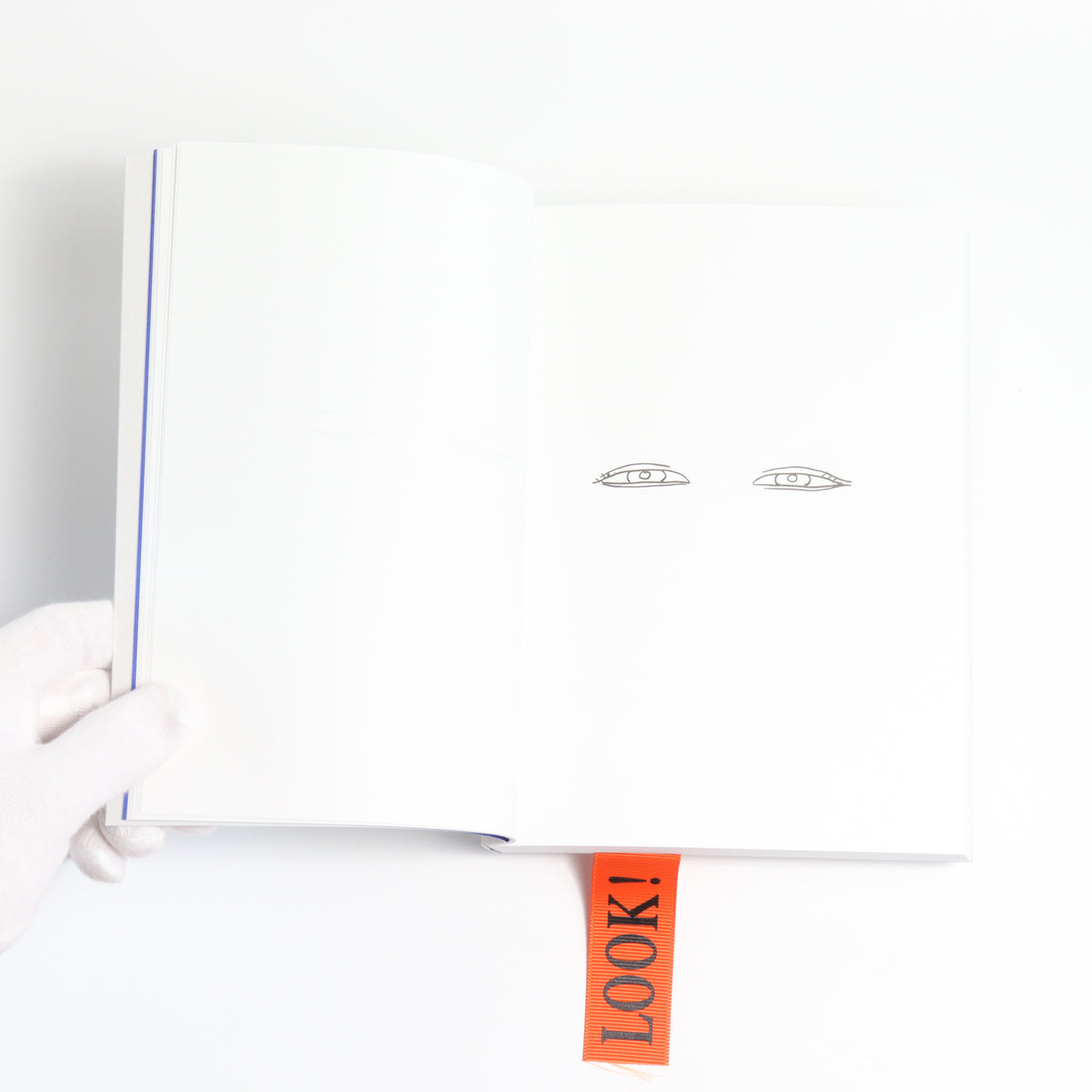 LOOK! - A VISUAL PHILOSOPHY OF SEEING