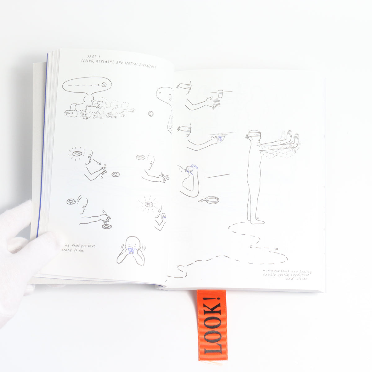 LOOK! - A VISUAL PHILOSOPHY OF SEEING