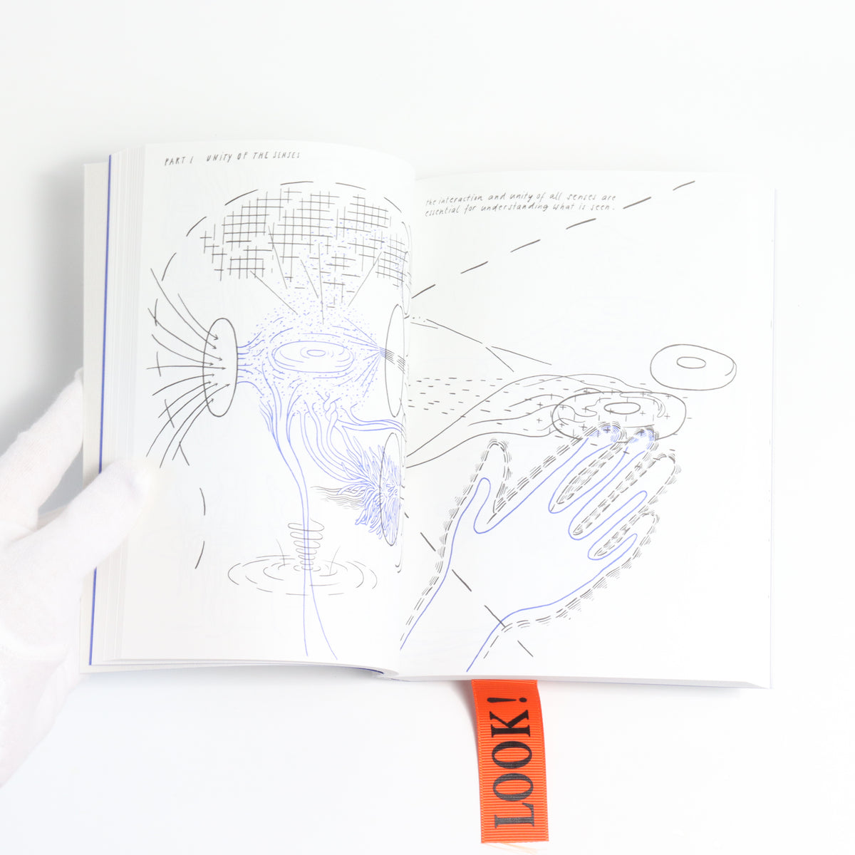 LOOK! - A VISUAL PHILOSOPHY OF SEEING