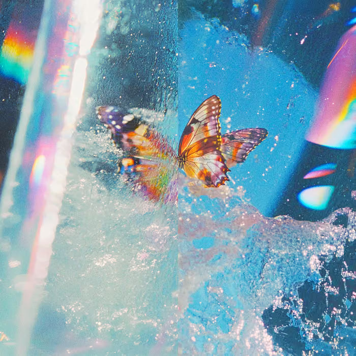 Butterfly / Daphni